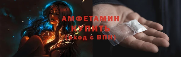 мдпв Няндома