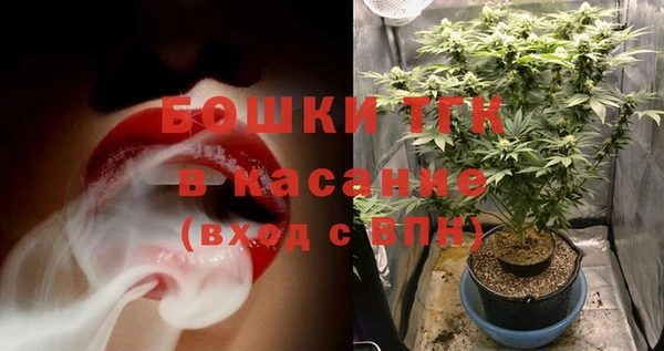 мдпв Няндома