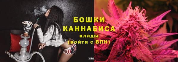 стаф Ветлуга