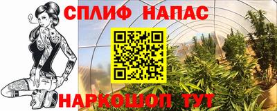 ГАЛЛЮЦИНОГЕННЫЕ ГРИБЫ Свободный