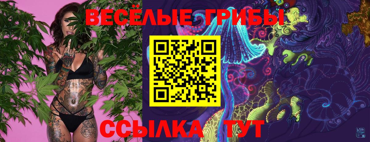 ГАШ  APVP СК кристаллы  Кокаин  Вход с VPN  MDMA  Меф кристаллы  Стрежевой  ГАШИШ  Канабис 
